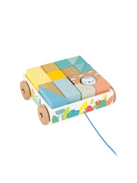 Chariot de Cubes à Promener...