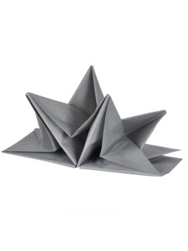 Set De 12 Serviettes Pré...