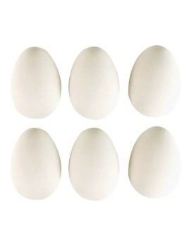 Lot De 6 Œufs Blanc En...