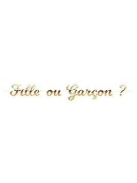 Guirlande Lettres "Fille Ou...