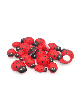 Lot De 20 Coccinelles En...