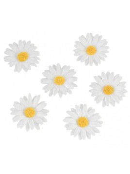 Sachet De 6 Marguerite...