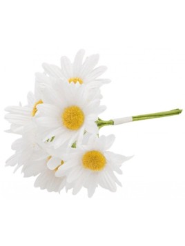 Bouquet De 6 Marguerites...