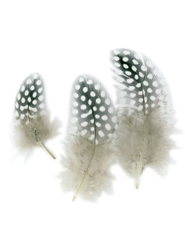 Lot De 50 Plumes Naturelles...