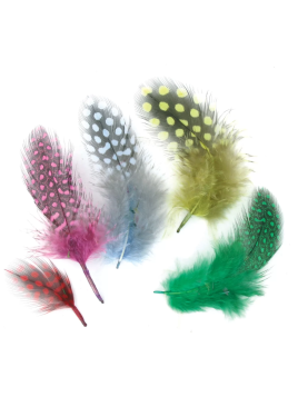 Lot De 50 Plumes Naturelles...