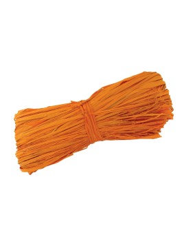 Pelote De Raphia Orange 50 g