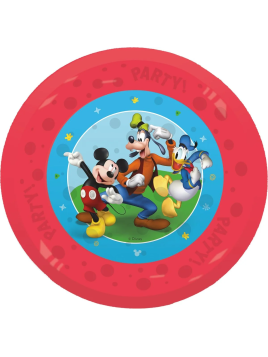 Lot De 4 Assiettes En...