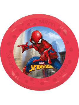 Lot De 4 Assiettes En...