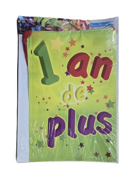 Guirlande Fanions...