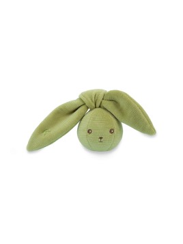 Balle Hochet Lapinoo Vert