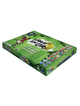 Ligue en Or - Jeu de Société