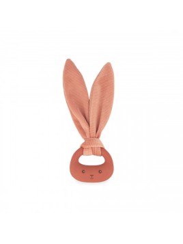 Anneau De Dentition En...