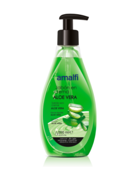 Gel Lavant Mains Aloe Vera...