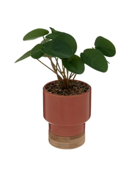 Plante Artificielle En Pot...